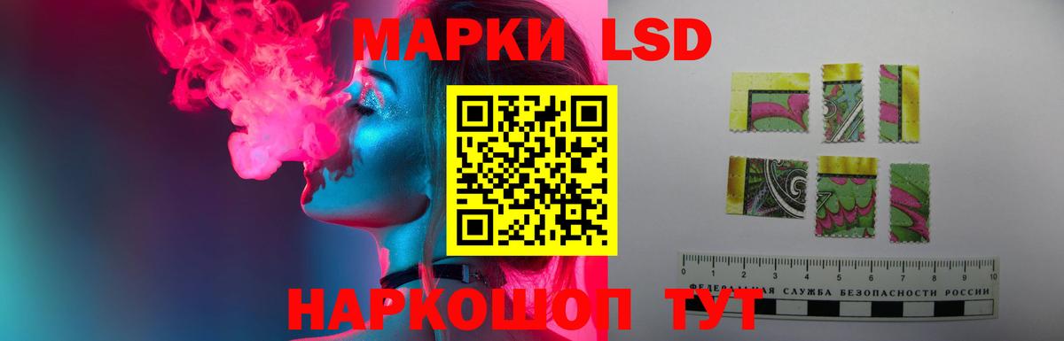 Мурино  ссылка на мегу tor  Вход с VPN  Лсд 25 экстази ecstasy  ЛСД экстази ecstasy 