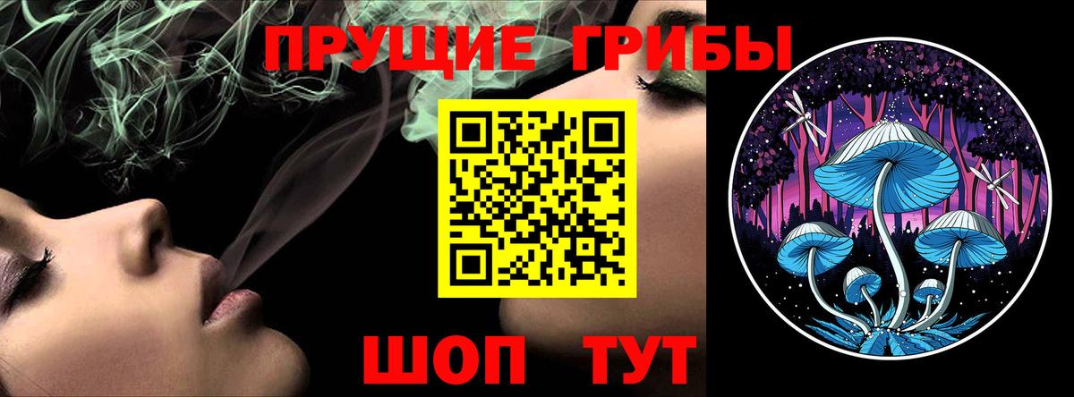 Псилоцибиновые грибы мицелий Мурино